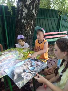 «Почему исчезают животные?»