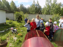 Экскурсия в конный клуб «Алир»