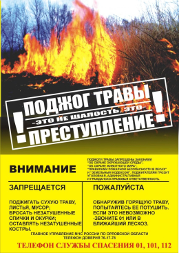 Сжигание сухой травы