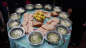 Уха на природе