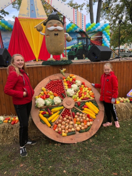 "День Картофеля"