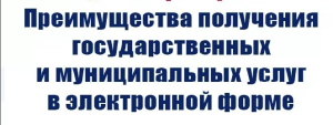 Преимущества Госуслуг