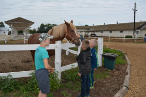 Путешествие в д. Крутово в АТК «Богдарня»