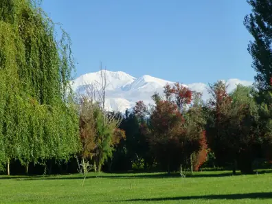 Casa de Huespedes La Azul