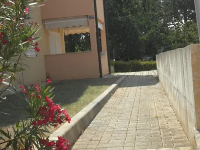 Apartment Alba