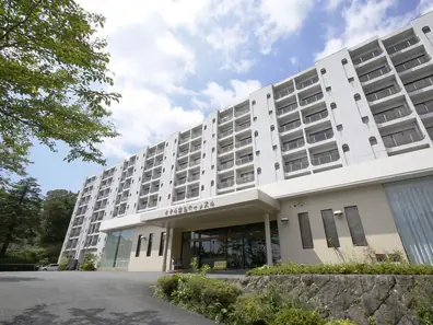Kirishima Castle