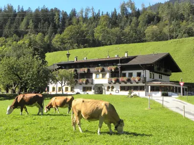 Gasthof Oberstegen