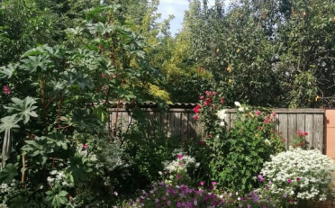  Агентство недвижимости