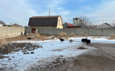  Агентство недвижимости