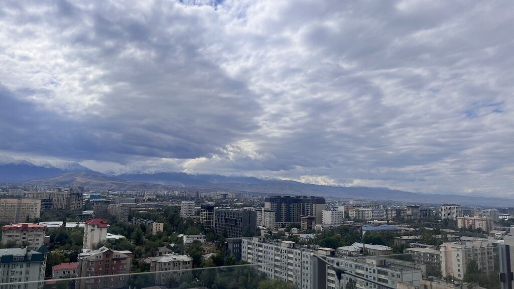 Элитка, 5 ком, 414 м2, этаж 17/17, ж/к Бай Таш Tower (Киев/Тыныстанова), Сост: Евроремонт - фото 16