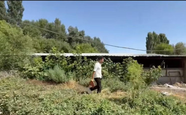 Купить квартиру Бишкек