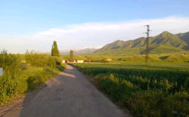  Агентство недвижимости