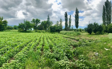  Агентство недвижимости