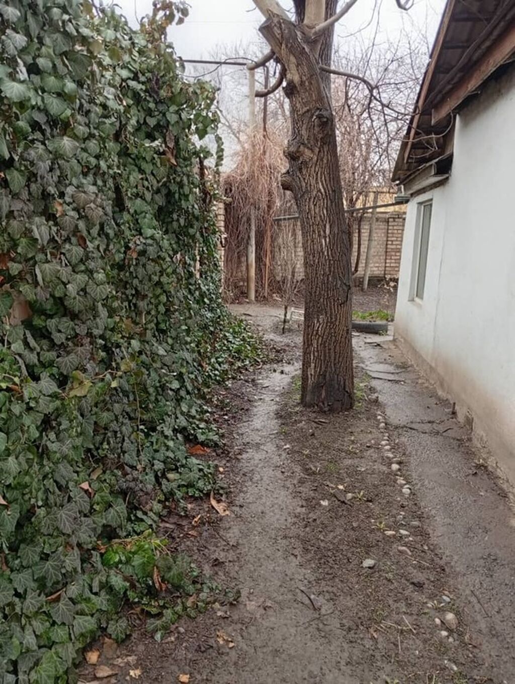 Продажа, Дом, 4 ком, 4 соток - фото 9