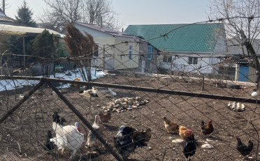 Купить квартиру Бишкек