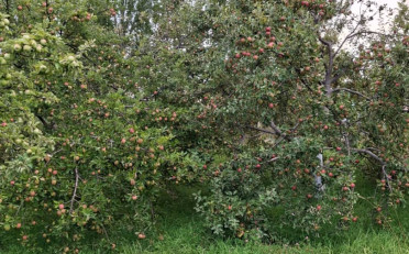  Агентство недвижимости