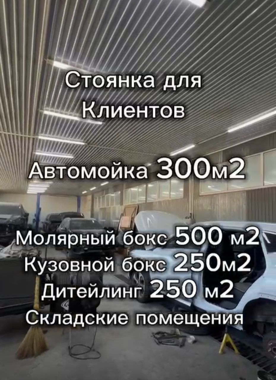 Коммерческая, 2000 м2, этаж 1/2 - фото 12