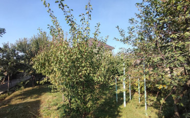  Агентство недвижимости