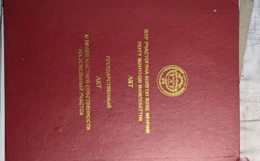  Агентство недвижимости