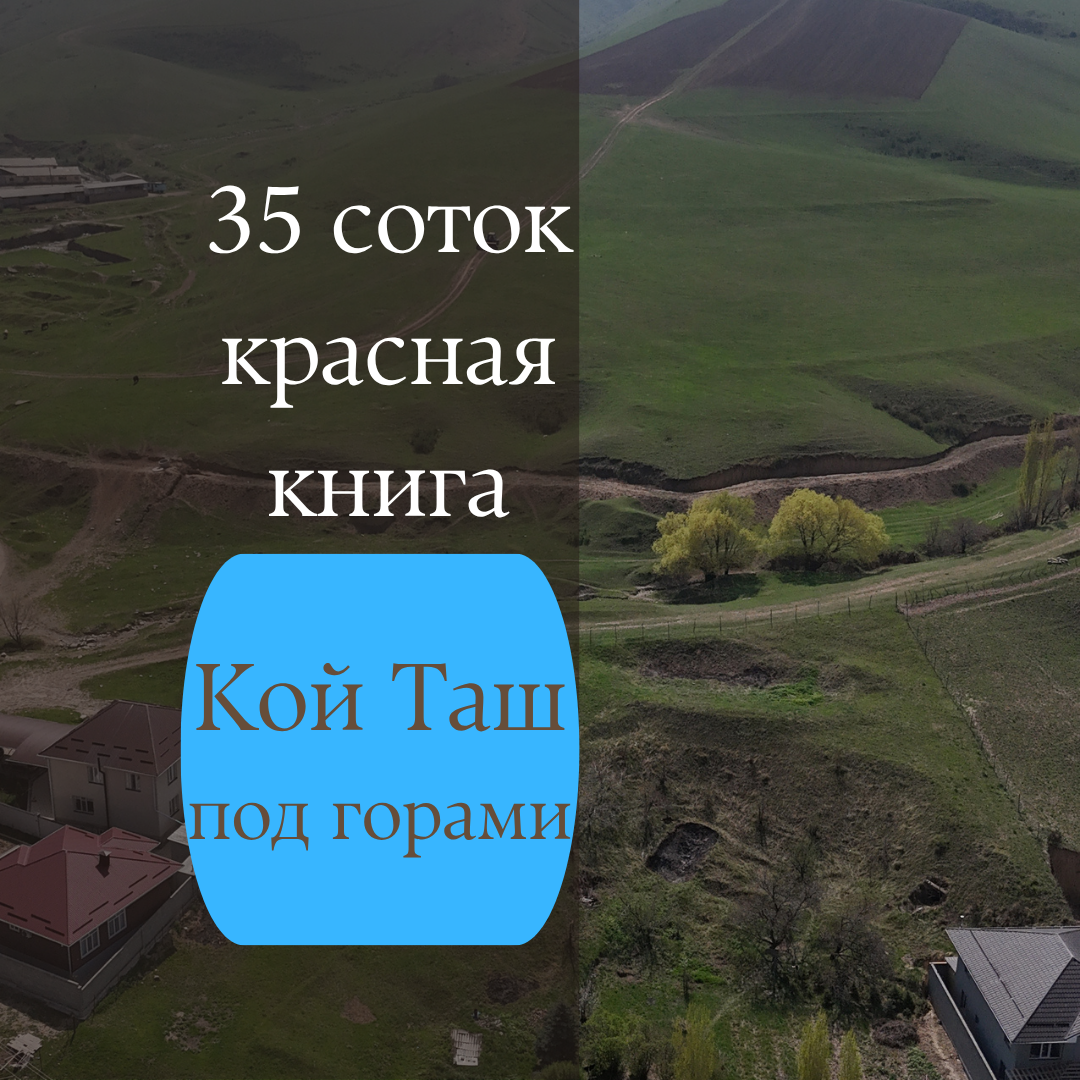 Участок, 35 соток - фото 1