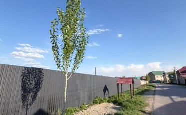  Агентство недвижимости