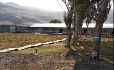  Агентство недвижимости