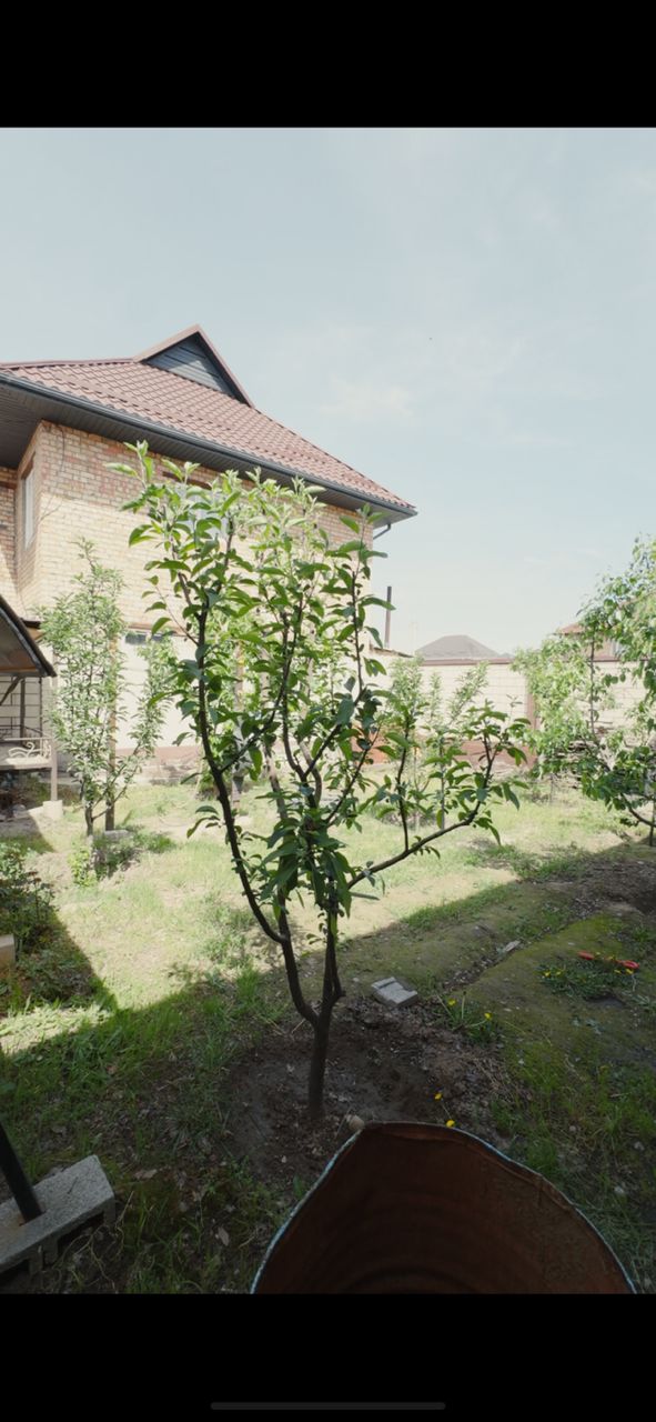 Продажа, Дом, 7 ком, 5 соток - фото 4