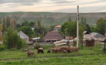  Агентство недвижимости