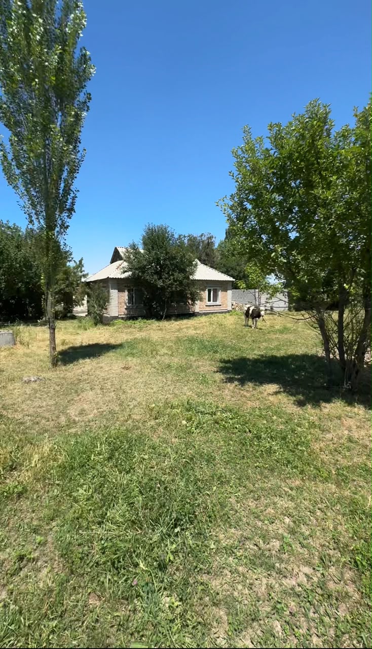 Продажа, Участок, 15 соток - фото 3