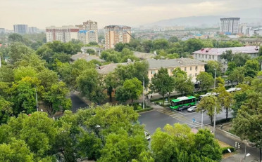  Агентство недвижимости