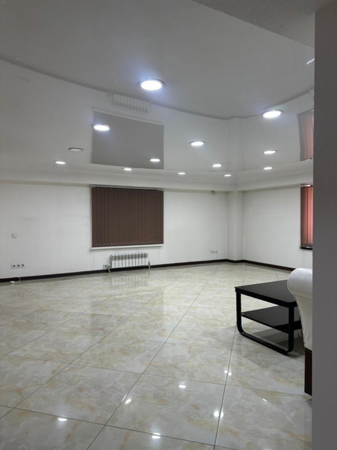 Продажа, Офис, Коммерческая, 250 м2, этаж 1/9 - фото 3