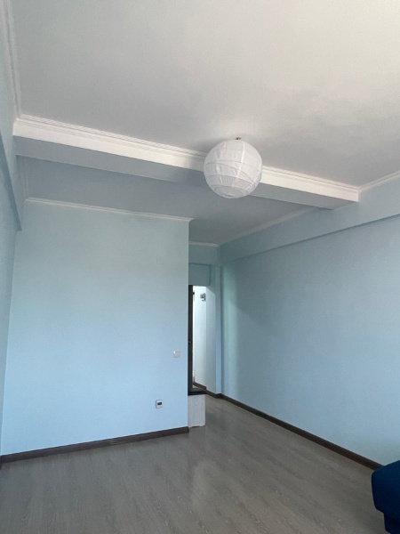Продажа, Индивидуальный проект, 1 ком, 30 м2, этаж 3/3, Сост: Евроремонт - фото 2