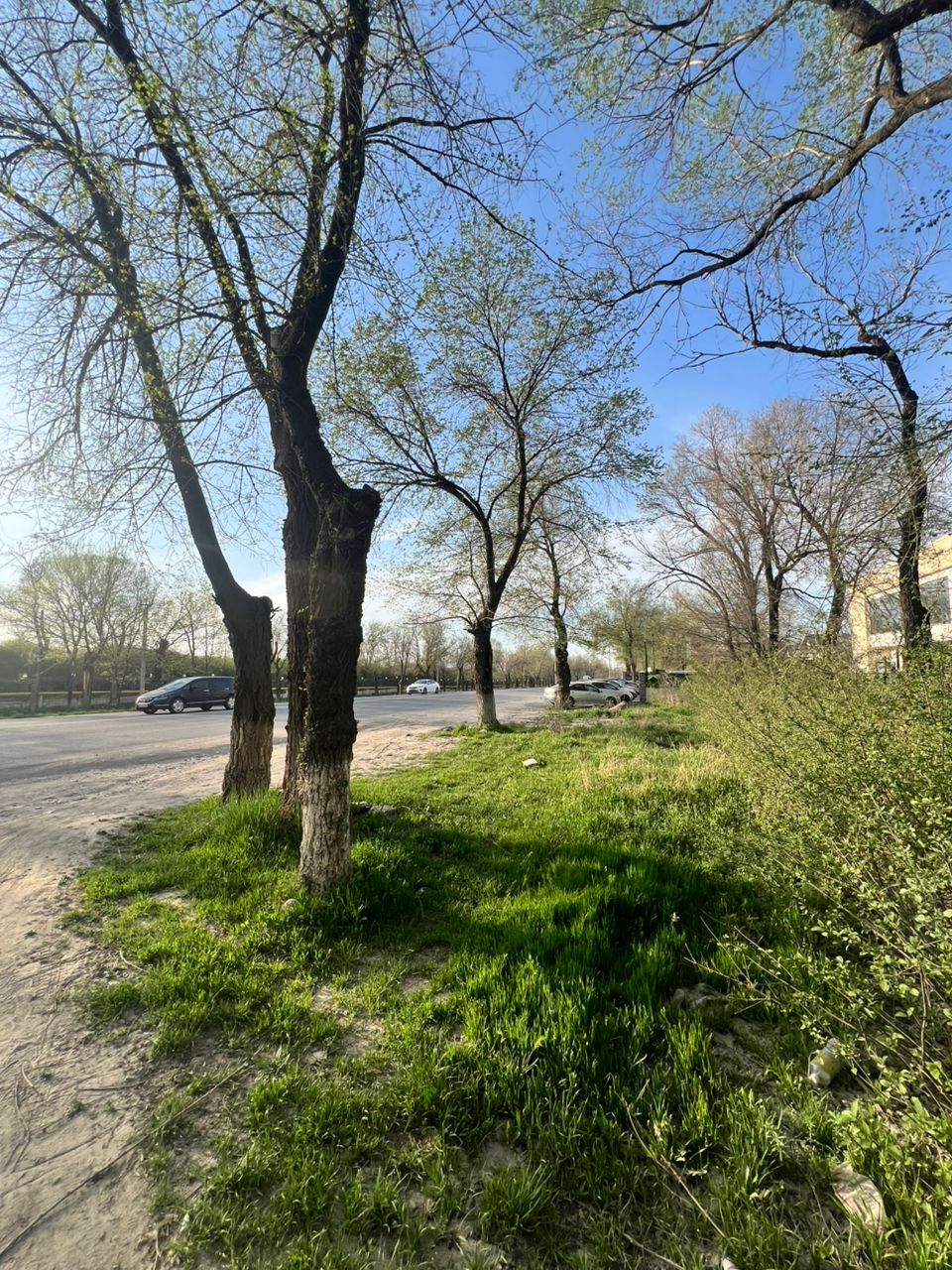 Аренда, Участок, 9 соток - фото 2