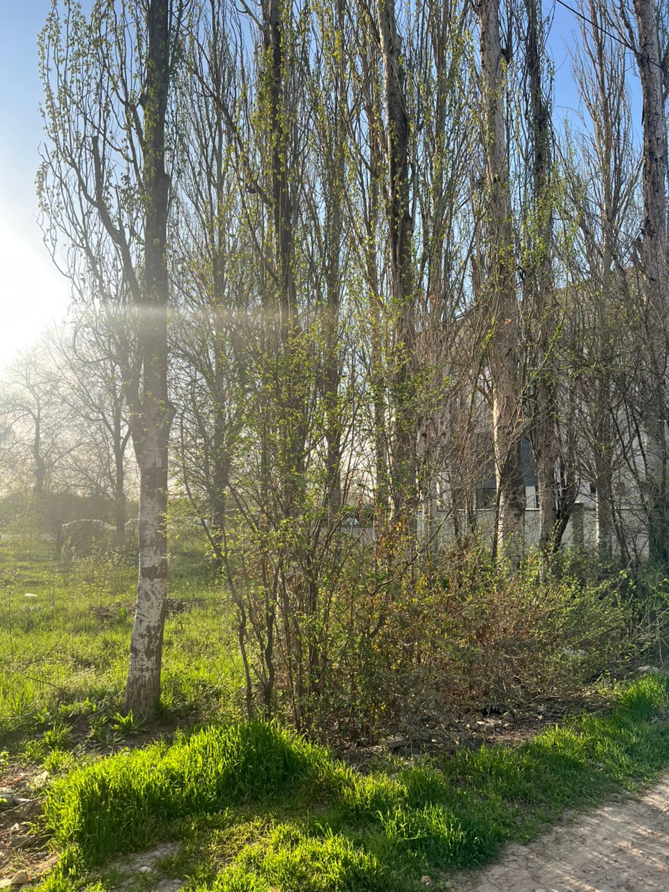 Аренда, Участок, 9 соток - фото 9