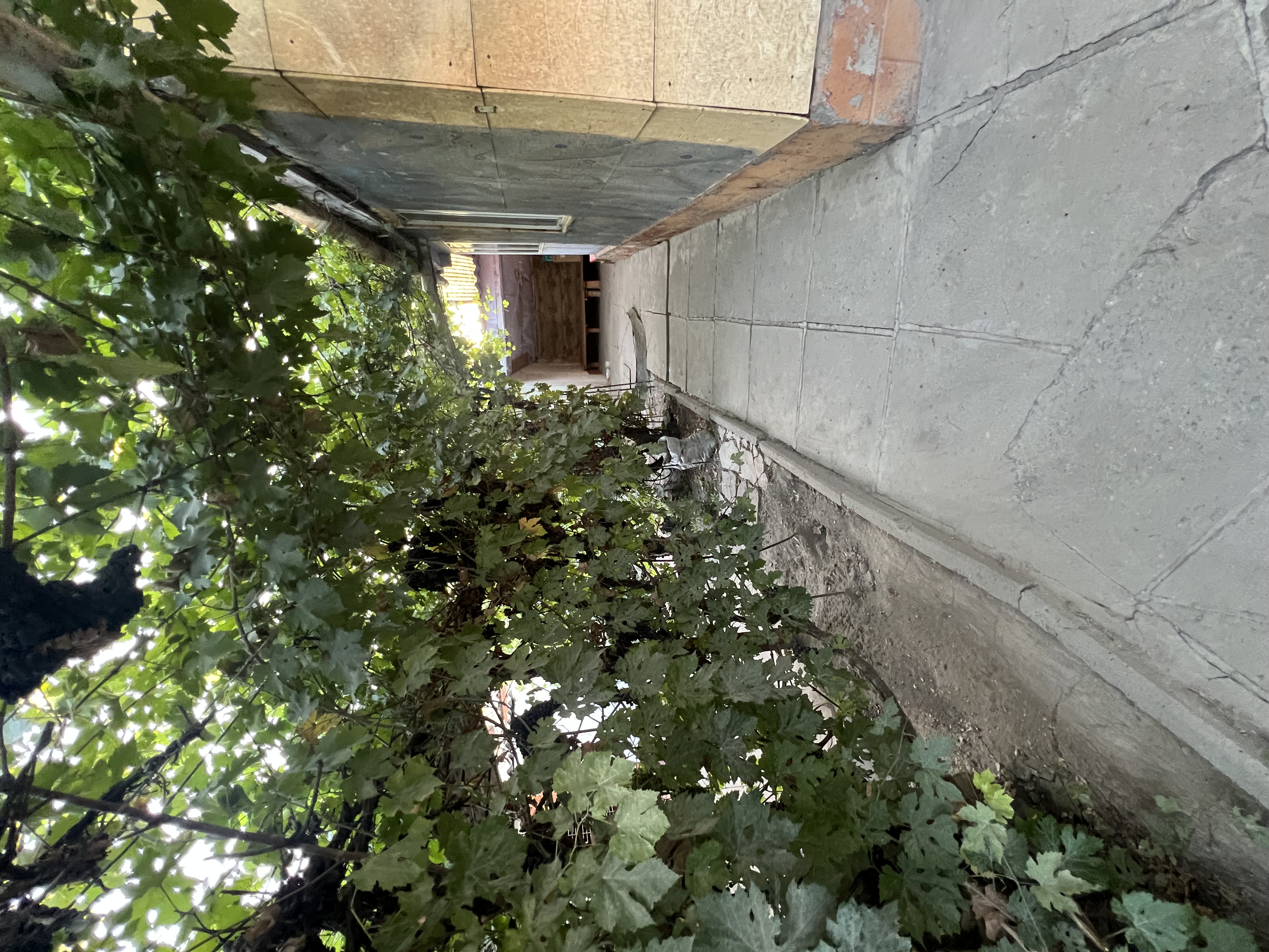 Участок - фото 11