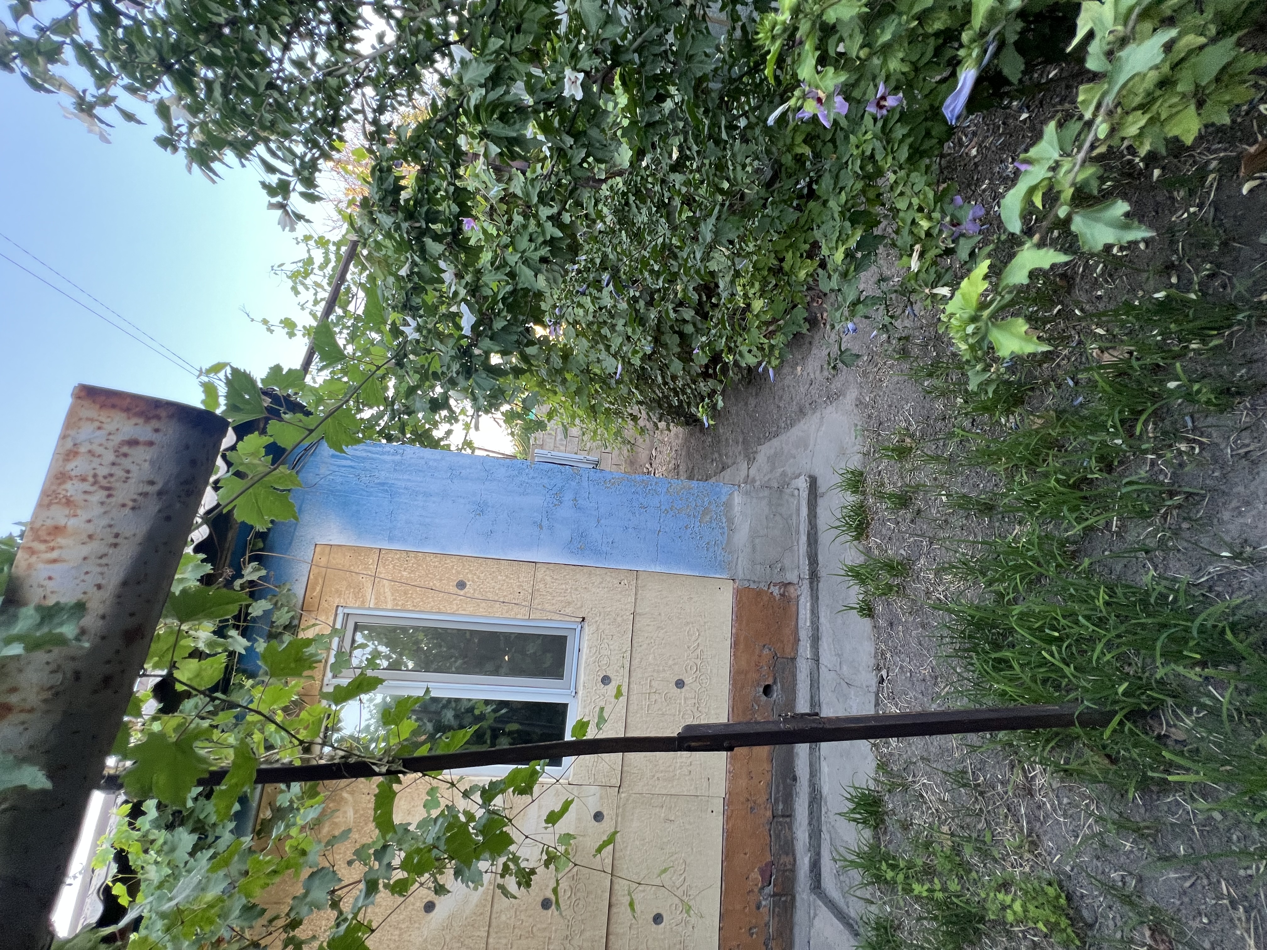 Участок - фото 12