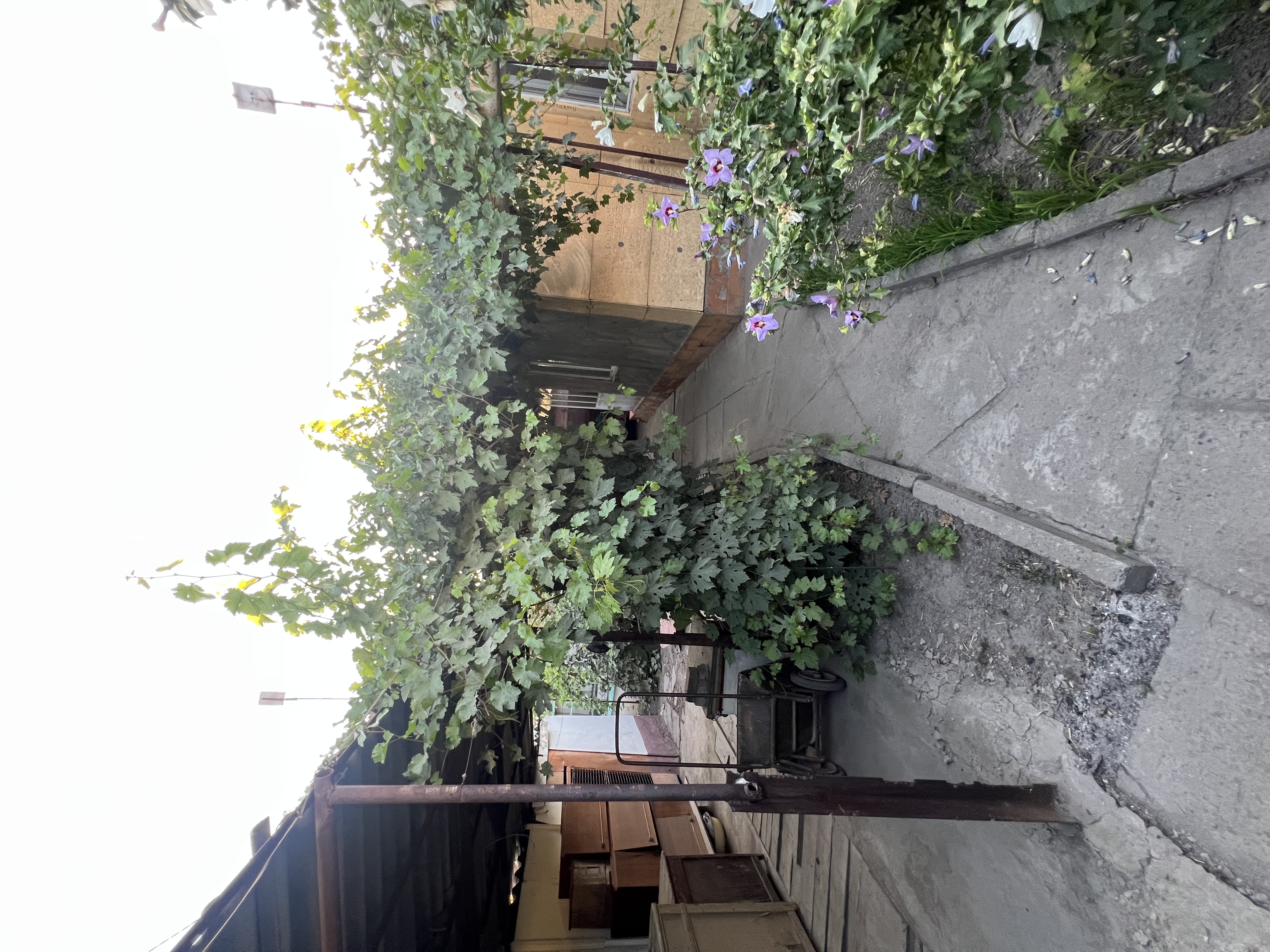 Участок - фото 13