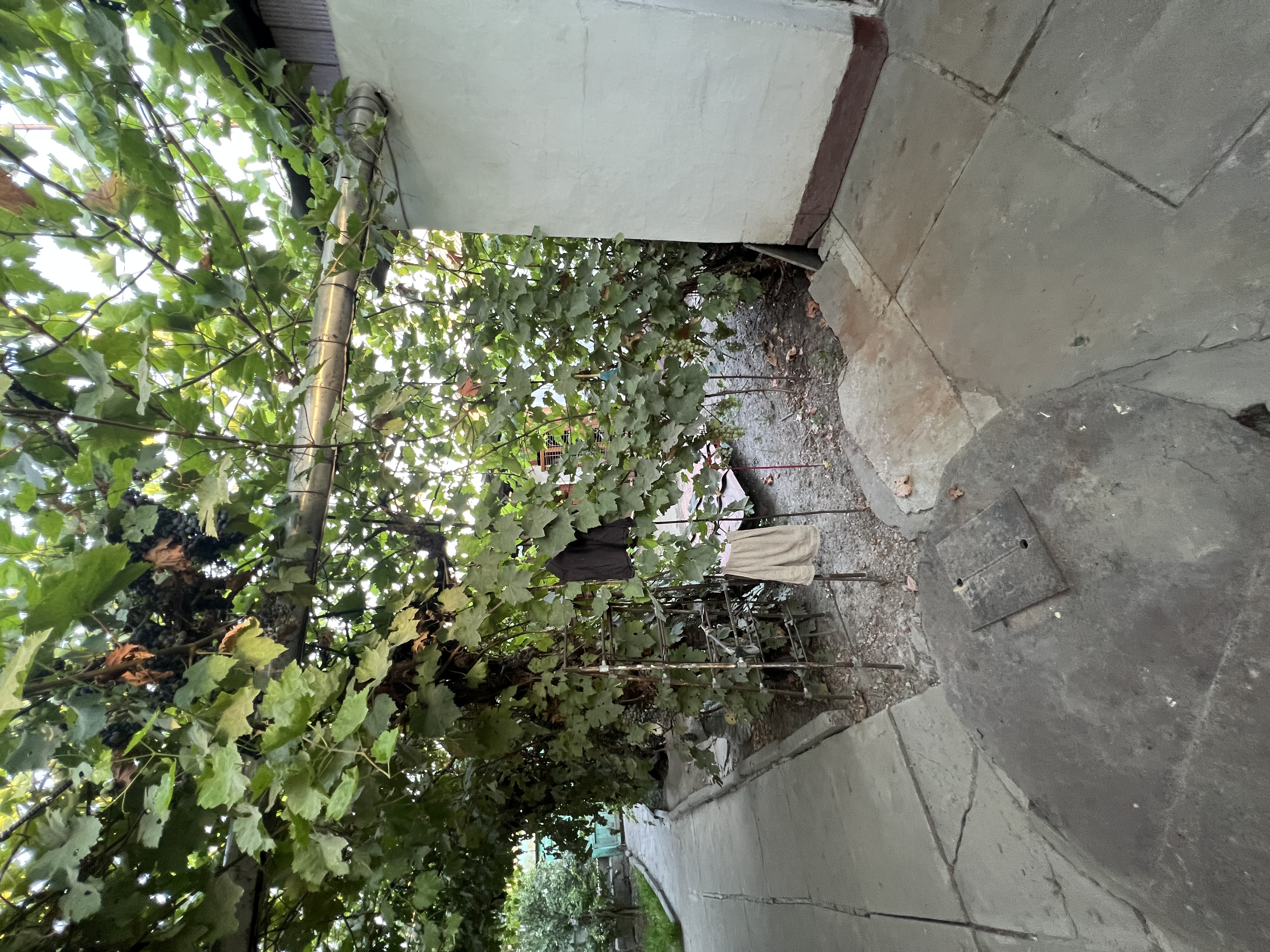 Участок - фото 14