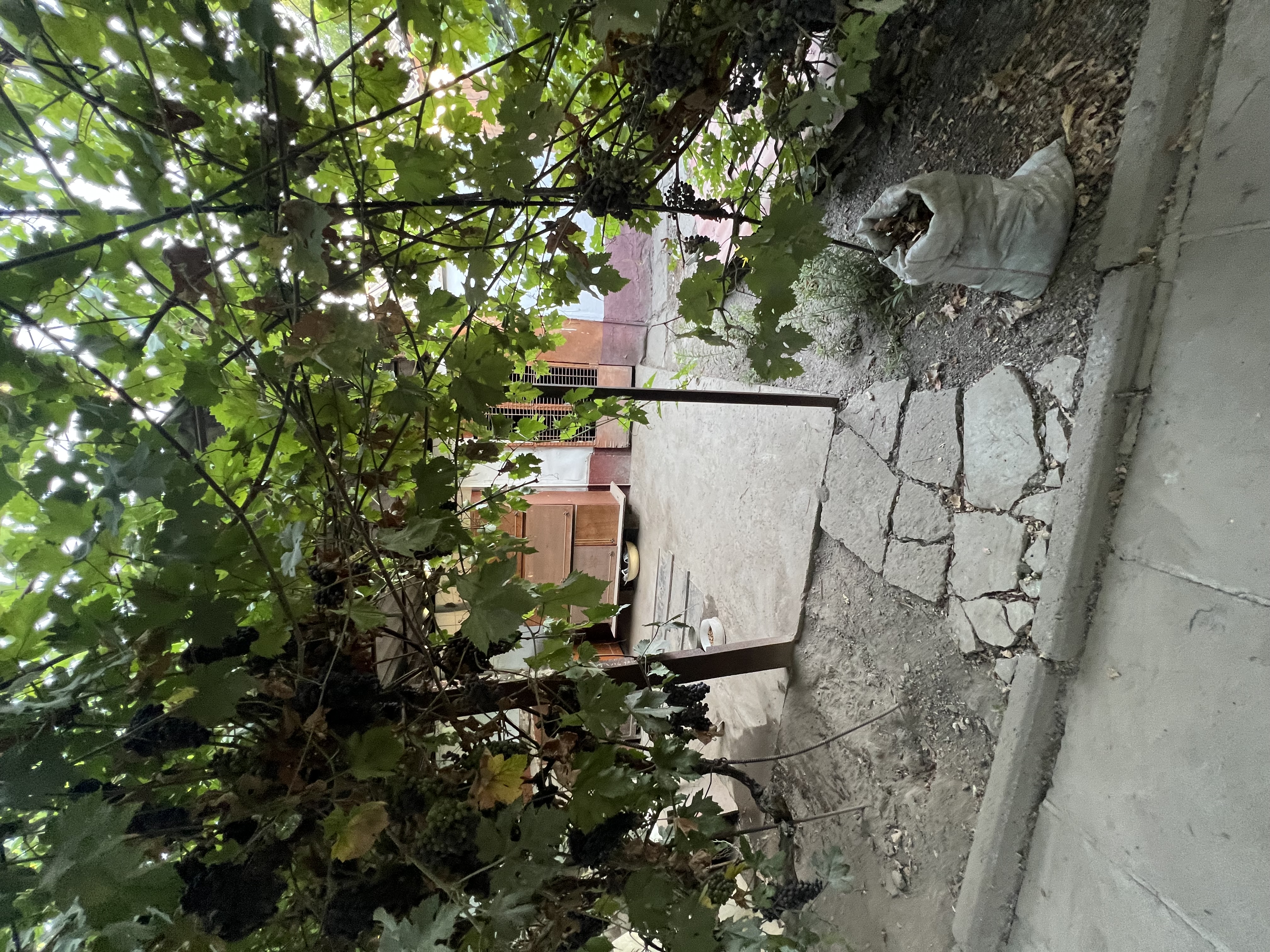 Участок - фото 15