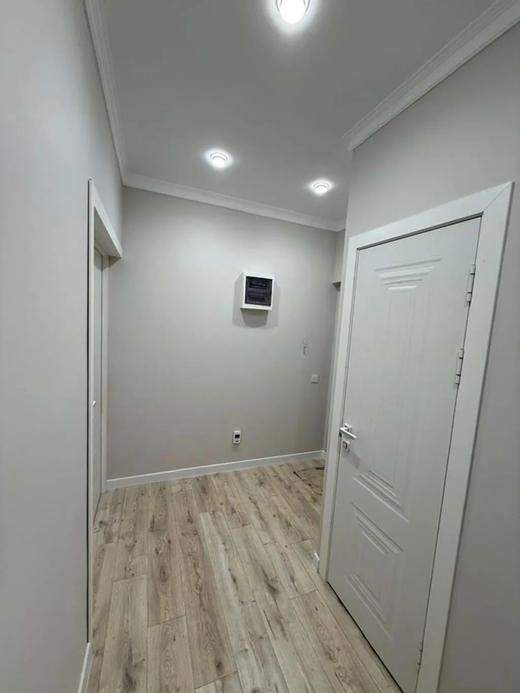 Элитка, 1 ком, 45 м2, этаж 3/9, ж/к ЖК Фламинго, Сост: Евроремонт - фото 3
