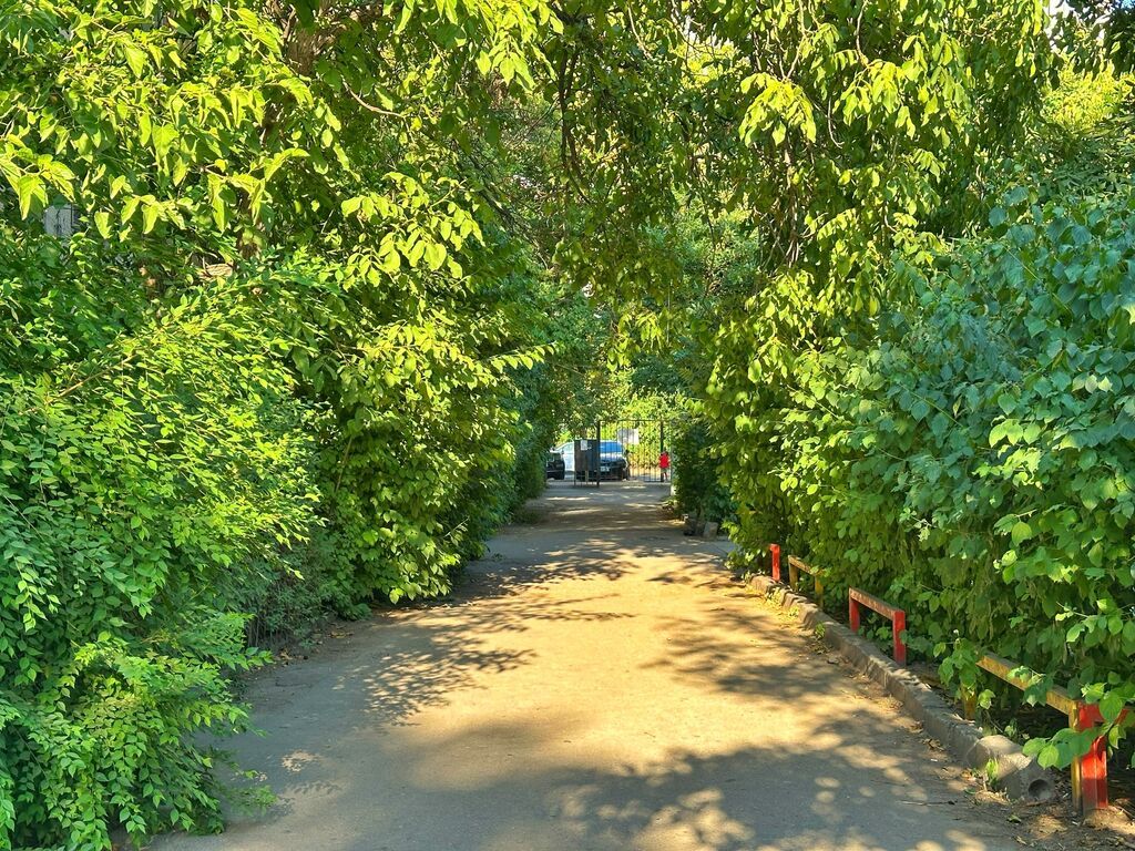 3 ком, 104 серия, 58 м2, этаж 2/5, Сост: Среднее - фото 16