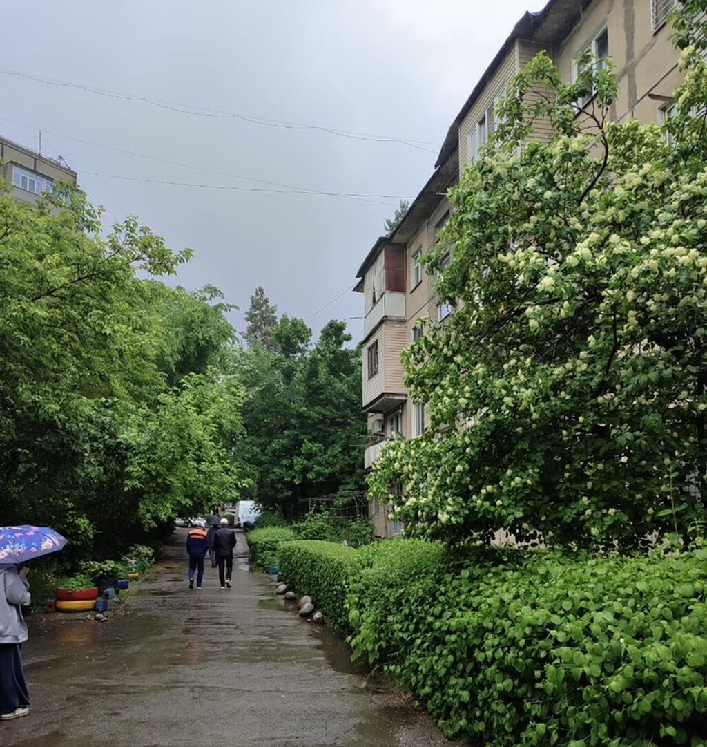 2 ком, 104 серия, 44 м2, этаж 2/4, Сост: Без ремонта - фото 8