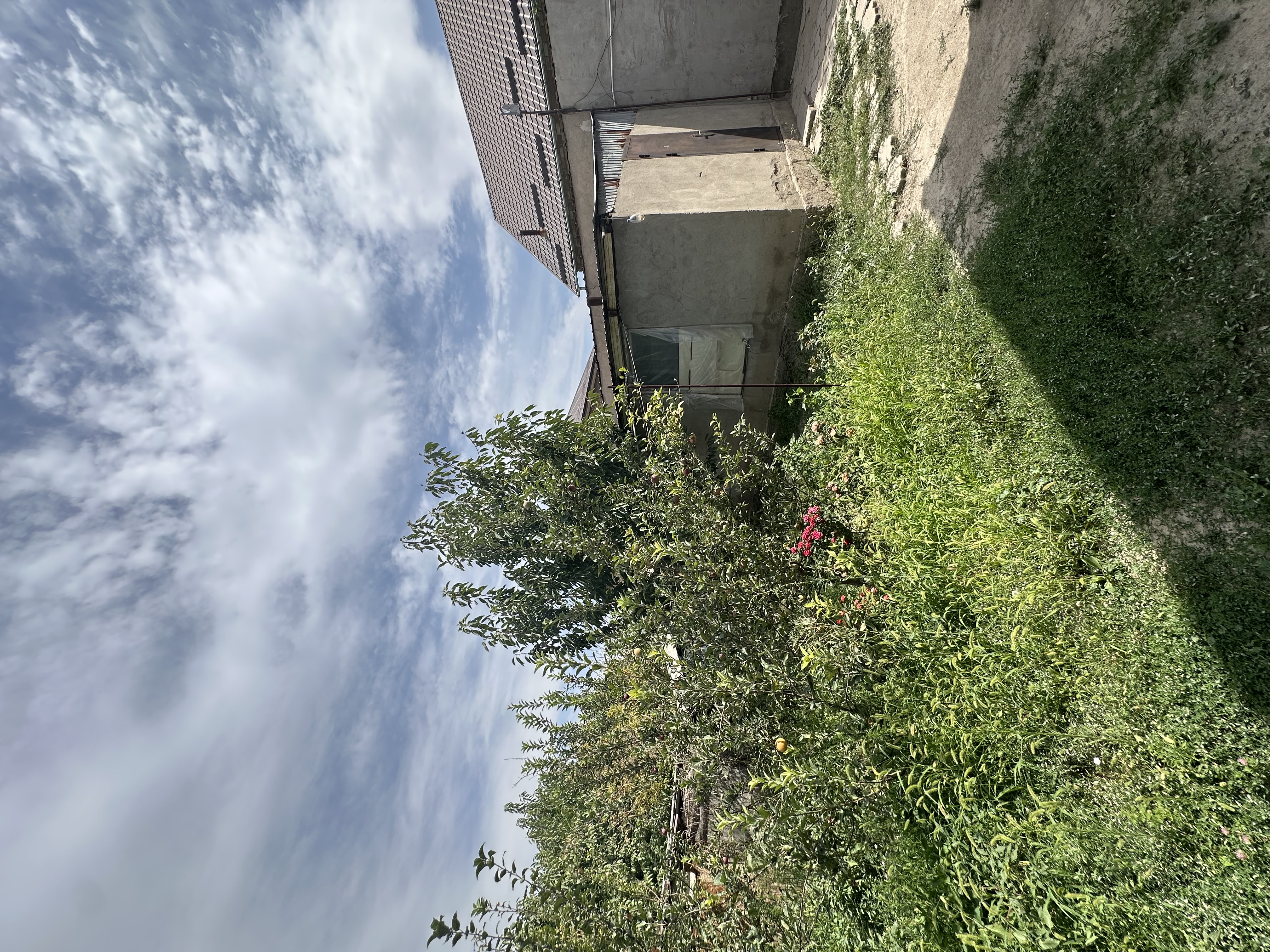 Продажа, Участок, 4 соток - фото 2