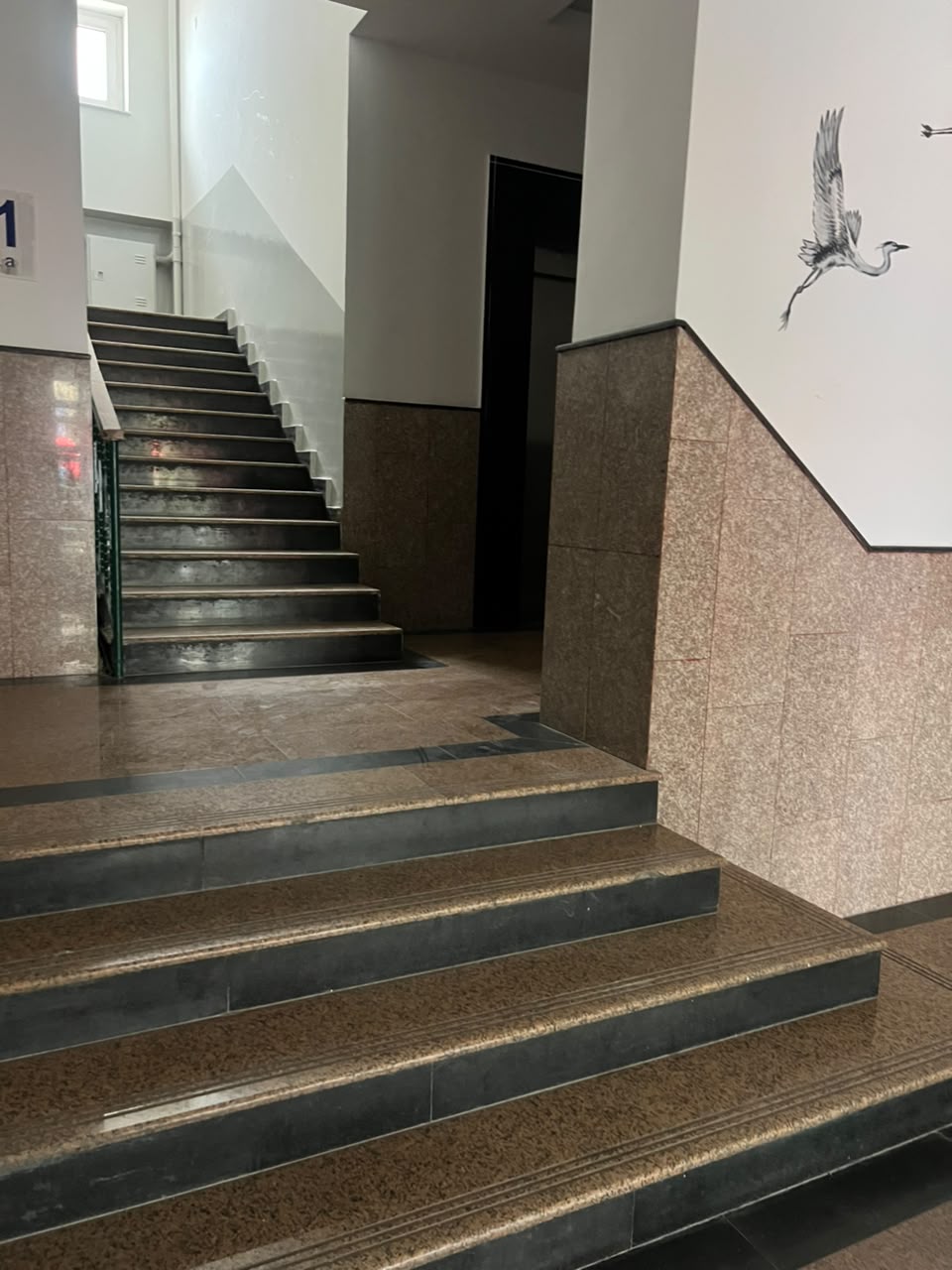 Продажа, Элитка, 1 ком, 50 м2, этаж 3/9, ж/к Акун, Сост: Хорошее - фото 3