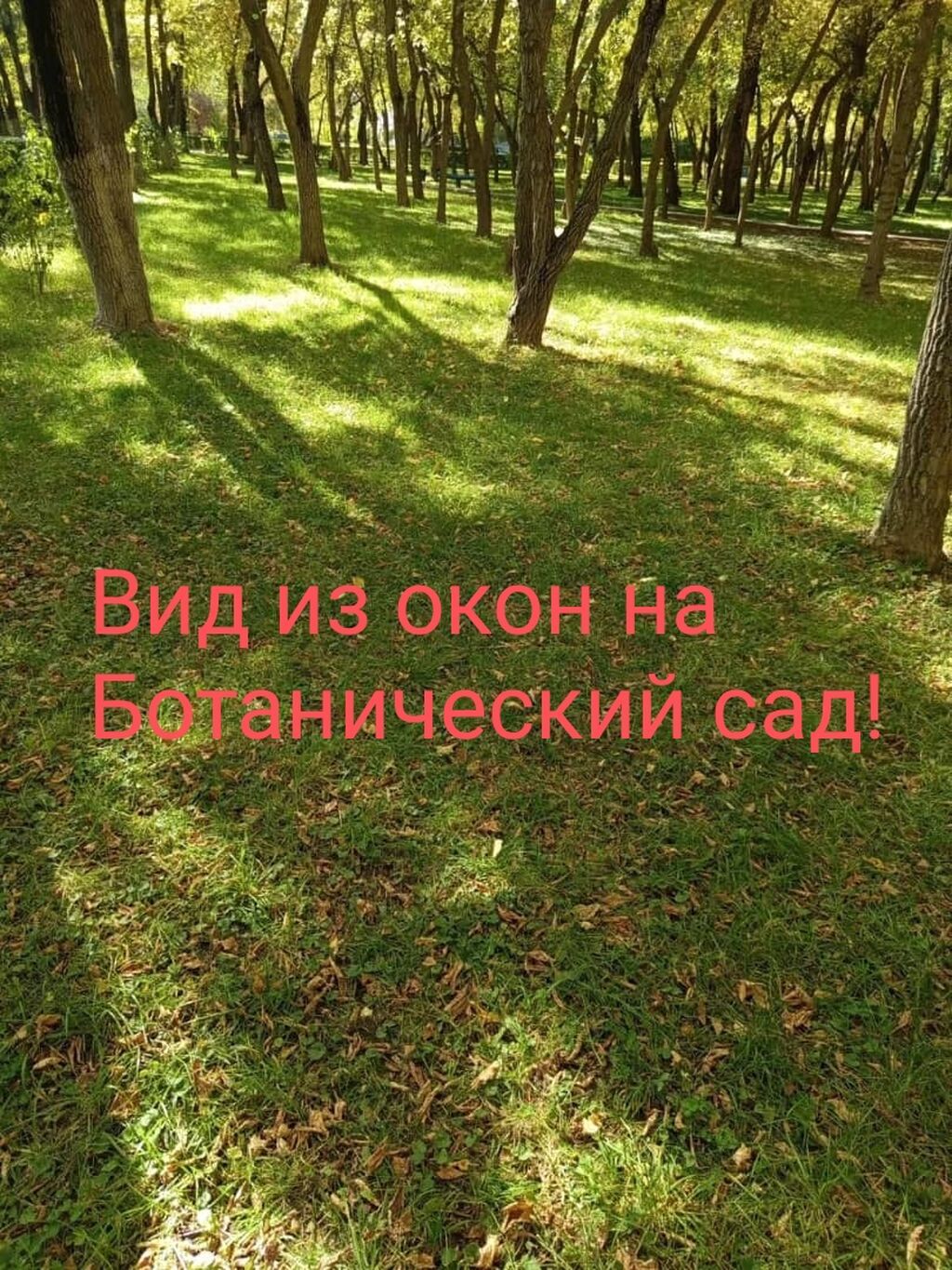4 ком, 4 соток - фото 3