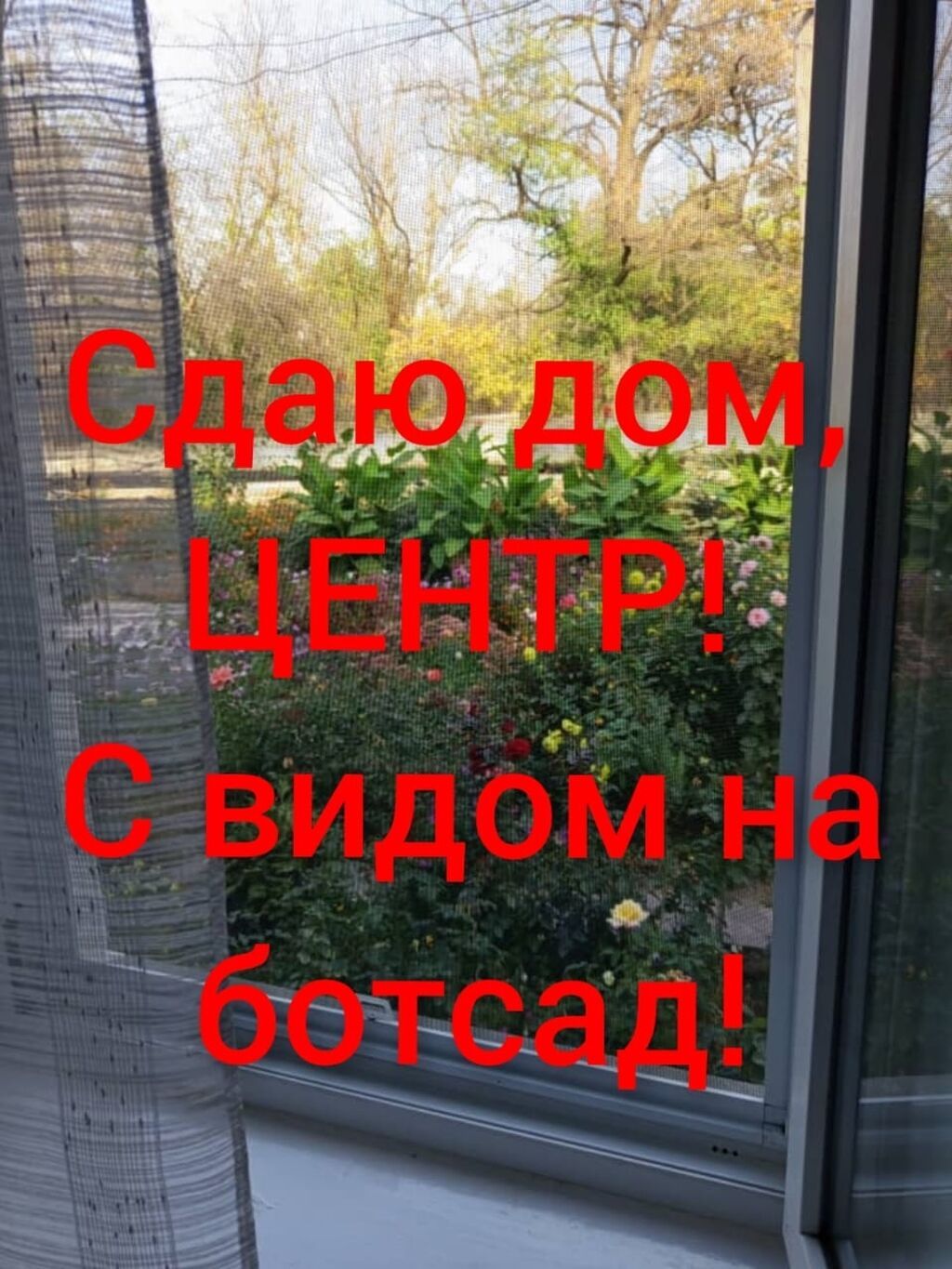 4 ком, 4 соток - фото 5