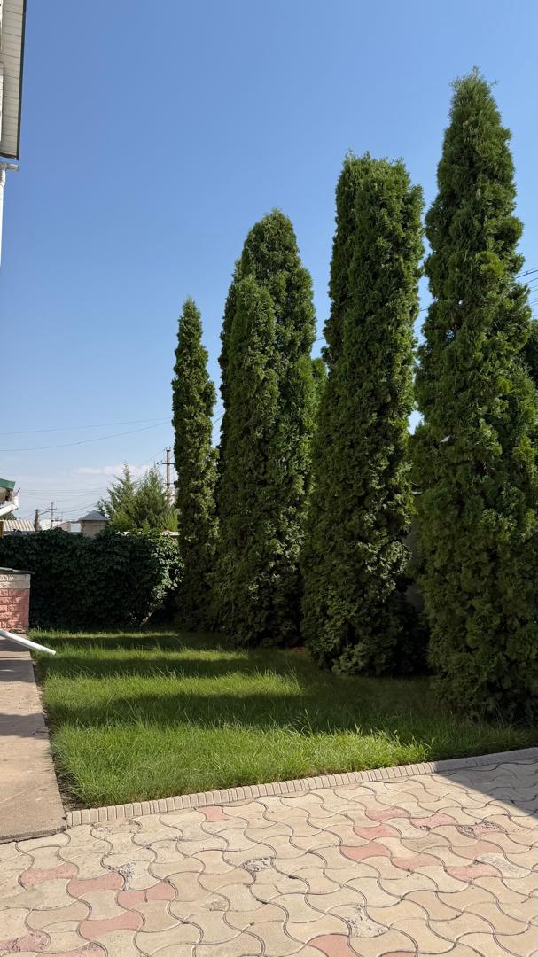 Аренда, Дом, 7 ком, 9 соток, Сост: Хорошее - фото 25