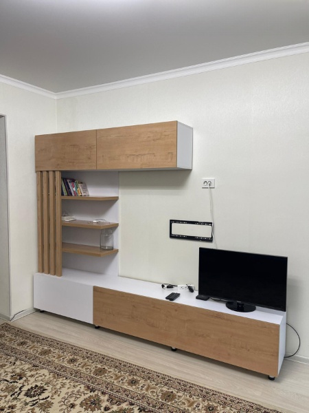 1 ком, Индивидуальный проект, 50 м2, этаж 7/7, Сост: Евроремонт - фото 3