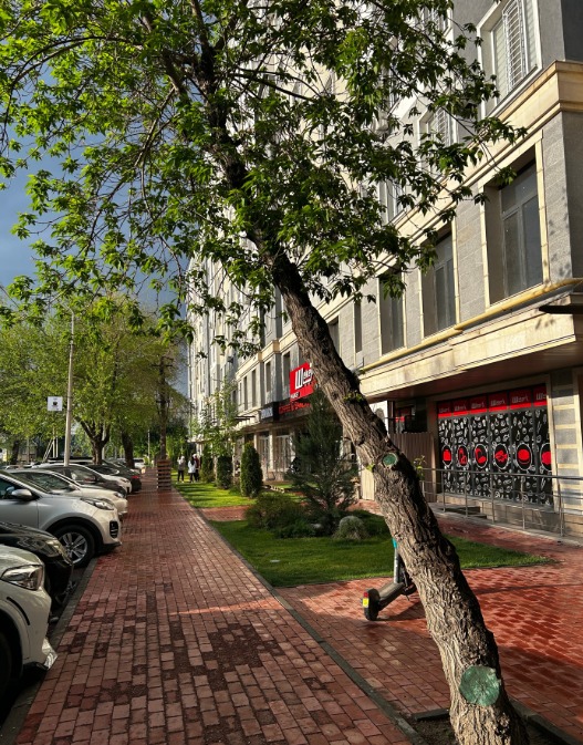Элитка, 2 ком, 76 м2, этаж 10/10, ж/к Мурас (Muras), Сост: Евроремонт - фото 5
