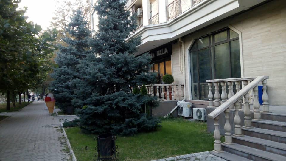 Элитка, 4 ком, 130 м2, этаж 2/10, ж/к Триумф, Сост: Евроремонт - фото 11